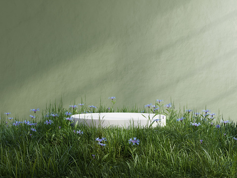 White podium in meadow for product presentation and on transparent background.3d rendering