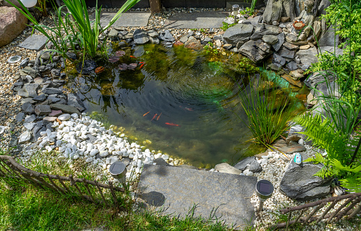 Small, beautiful pond in garden with waterlily and fountain.