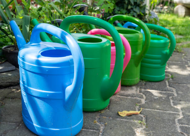 istock watering can in the garden 1492022911