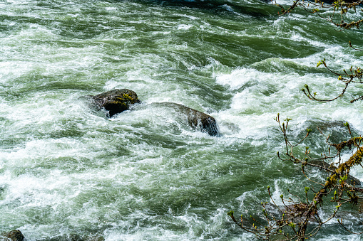 Whitewater rapids on the Snoqualmie River in Washington State.