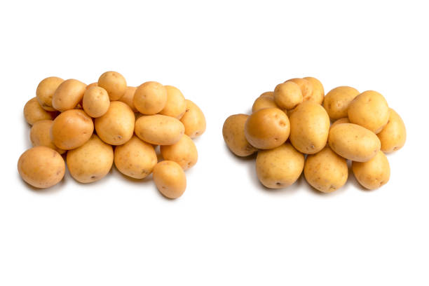 istock A group of fresh tasty potato isolated on white background. 1492024434