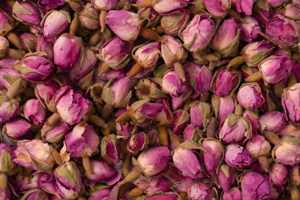 istock Dry tea roses isolated on white background. 1492024611