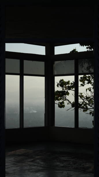 istock Cityscape view from the window with misty natural scenery 1492035718