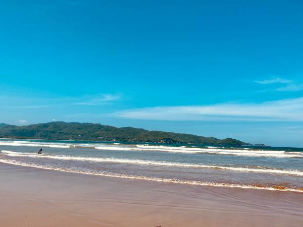 istock beautiful view of the beach during the day 1492036279