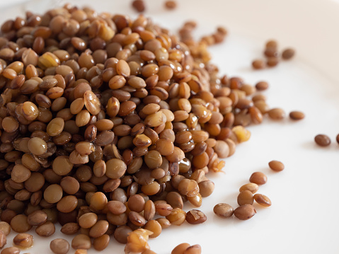 Cooked Lentils in the white dish