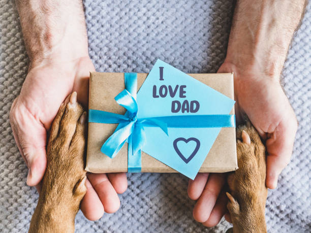 istock Dog paws, male hands and gift box 1492042949