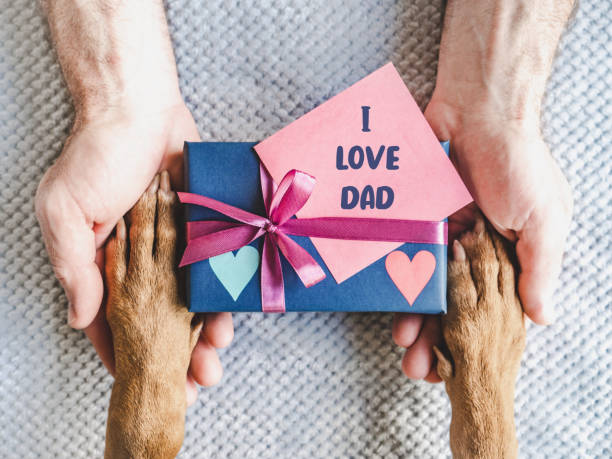 istock Dog paws, male hands and gift box 1492042975