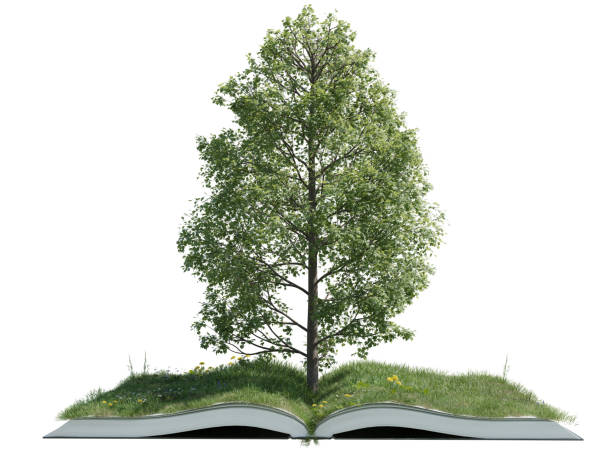 istock Fantastic tree on open book with green grass field isolated on white background 1492044068