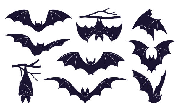 Bat In Tree Drawing How To Draw A Bat Hanging From A Tree
