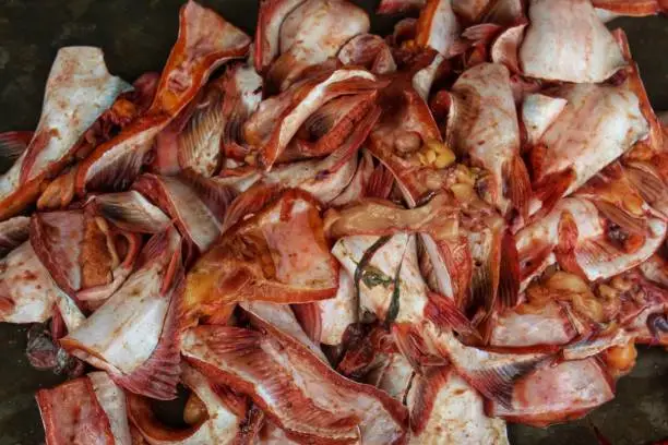 Photo of pangassius sutchi fish processed and cut for export sale HD