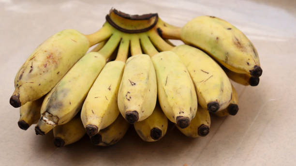 istock Bunch Of yellow banana. with dim background 1492051659