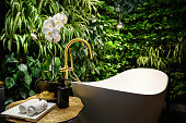 Bath in modern beauty salon, luxury bathroom interior in spa with vertical garden