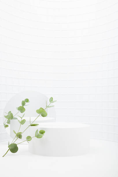 istock Summer abstract white stage, one cylinder podium mockup for presentation cosmetic products, advertising, design in round alcove, mosaic tile, fresh gentle green eucalyptus twigs, mirror, vertical. 1492054477