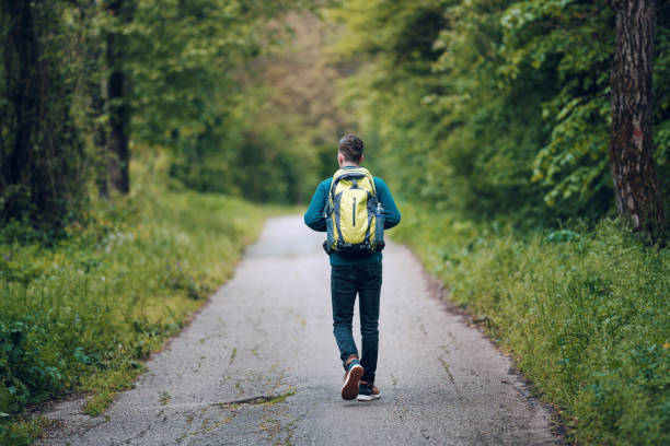 istock Young male backpacker walking in the mountains 1492054993