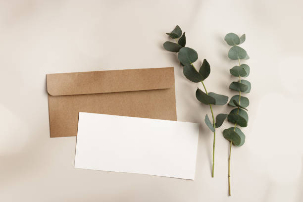 istock Blank paper card mock up and craft envelope, eucalyptus plant on beige table. White empty letter or invitation, sunlight, beautiful soft shadow. Minimal lifestyle photo. Flat lay, top view, copyspace 1492060218