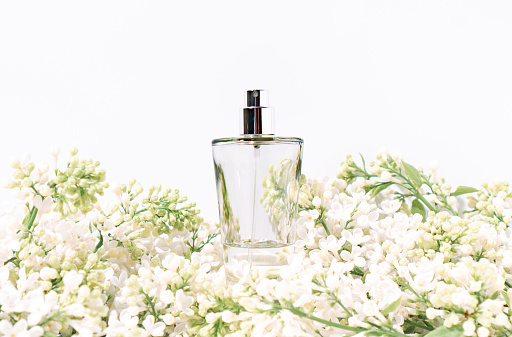 Floral fragrance in perfumery concept made with perfume bottle in flowering branch of white lilac.