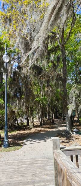 istock Park in Jacksonville Florida 1492062169