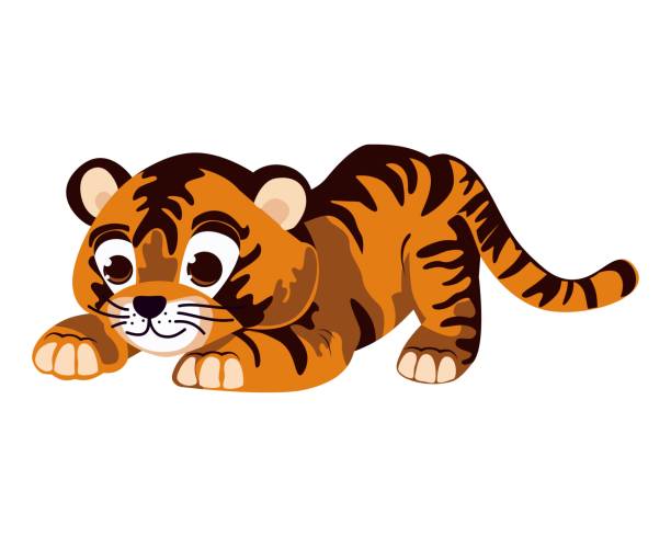 tigerbaby. lustige, karikaturhafte zeichnung eines kleinen tigerbabys. - babytiger stock-grafiken, -clipart, -cartoons und -symbole