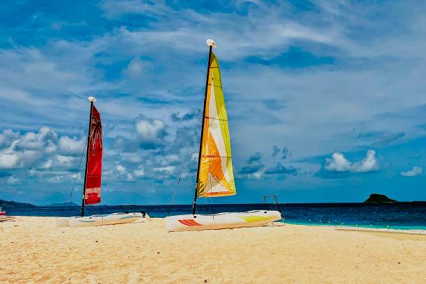 catamaranes en la playa en el caribe - palm island fotografías e imágenes de stock