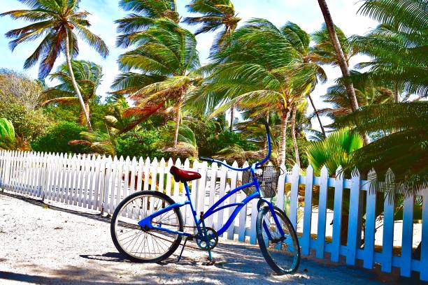 istock White Picket Fence and a Beach Cruiser 1492065631