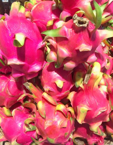 Dragon fruit for sale in the market - fotografia de stock