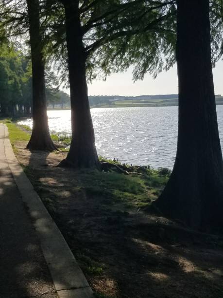 istock Lake next to love field 1492067456