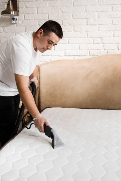 istock Process of extraction dirt from mattress using extractor cleaning machine. Dry wash cleaner is removing dirt and dust from mattress using dry cleaning extraction machine. 1492071474