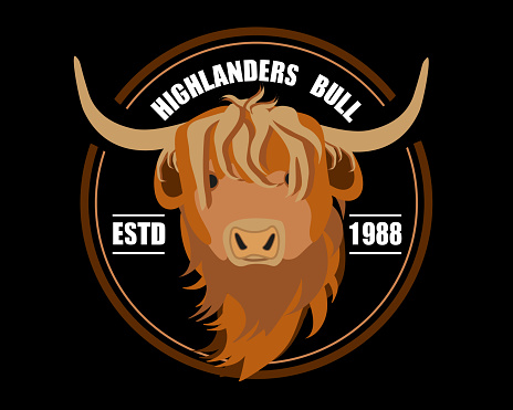 Portrait of Highland cattle, cow. Cute head of Scottish cattle isolated on black background. Design element for logo, poster, card, banner, emblem, t shirt. Vector illustration.