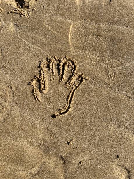 istock Painting pictures into sand 1492073605
