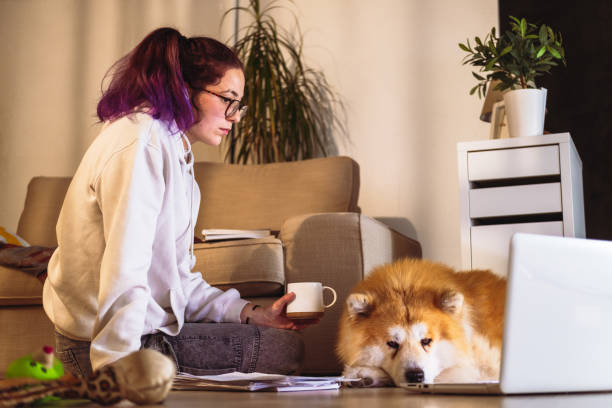 istock Young woman studying with her computer, sitting on the floor with a dog. 1492075201