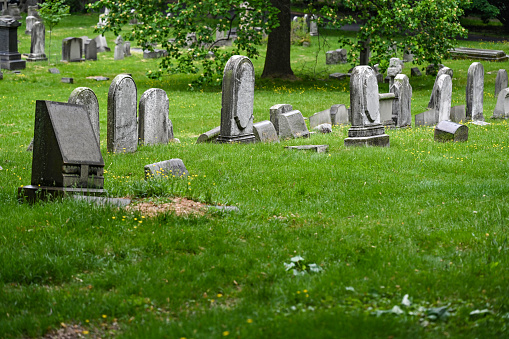 Old gravestones in Stirling cemetery