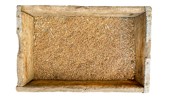 wheat in a box on a white background.