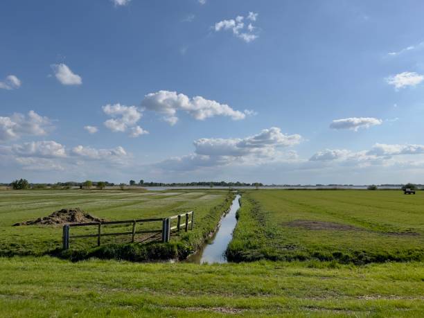 istock Scene on the Elbe River in Kollmar, Schleswig-Holstein 1492077206