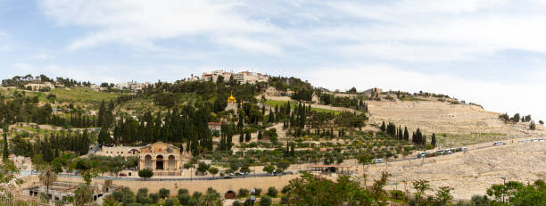 Panoramic view of Mount of Olive. Church of All Nations and Mary Magdalene Convent on in Jerusalem city Panoramic view of Mount of Olive. Church of All Nations and Mary Magdalene Convent on the Mount of Olives garden of gethsemane stock pictures, royalty-free photos & images