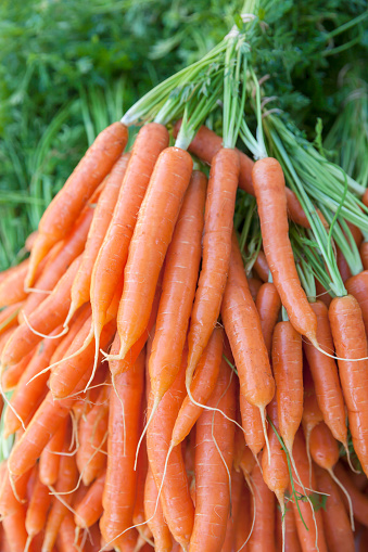 View from above of bunches of freshly-picked orange carrots for sale at a farmer's market.