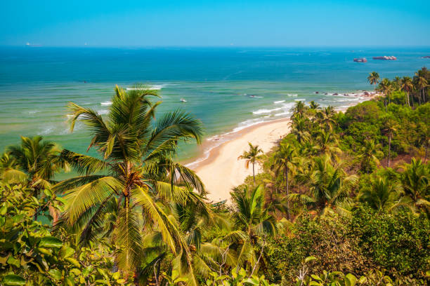 istock Goa beach aerial view, India 1492080219