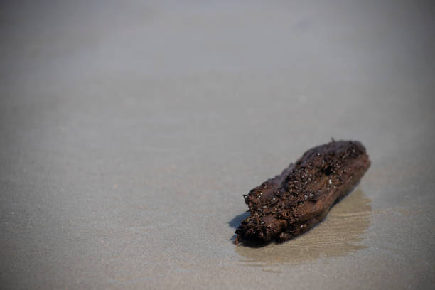 beach scene background