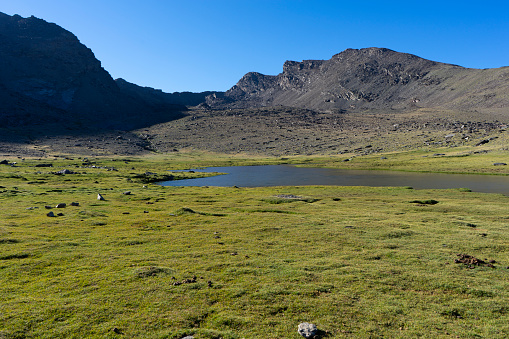 image of a lagoon with fresh grass in sierra nevada, granada