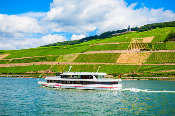 tourist cruse boat in germany - rheingau stockfoto's en -beelden