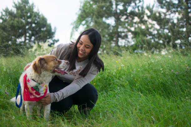 istock Love my favourite dog 1492086137