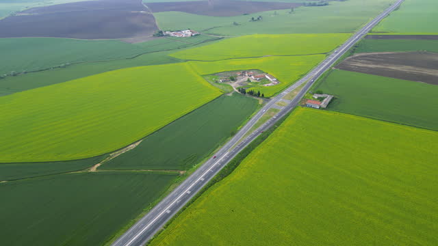 Aerial drone view of roads between and crop fields of all shades of green, Wheat and canola fields side by side, Modern countryside landscape