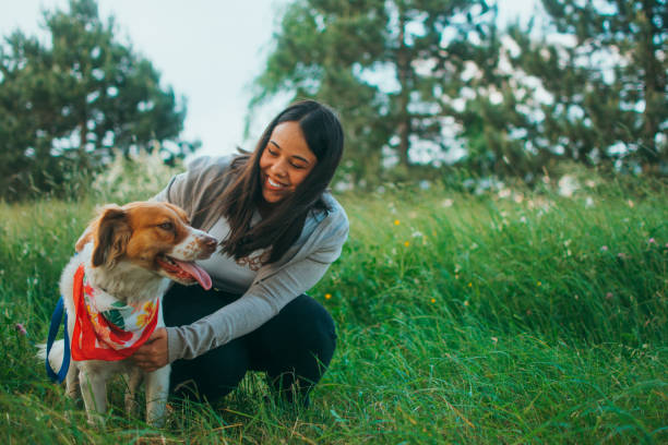 istock Love my favourite dog 1492086174