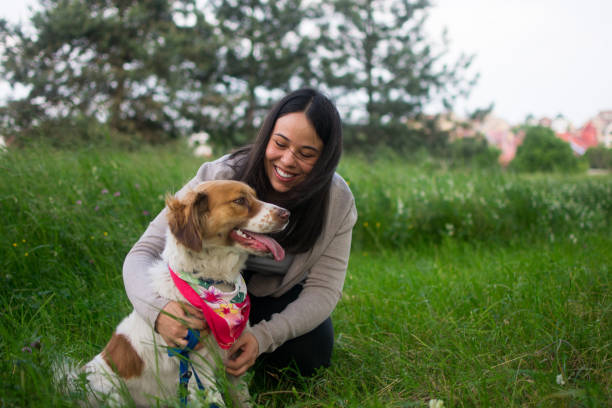 istock Love my favourite dog 1492086369