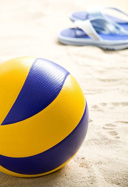 istock Professional volleyball ball on the beach 149208690