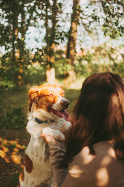 istock my dog ​​and me 1492087515