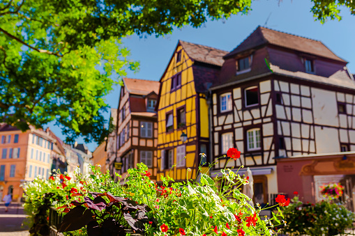 Cafe and bar at the Nordermarkt square in Flensburg, Germany