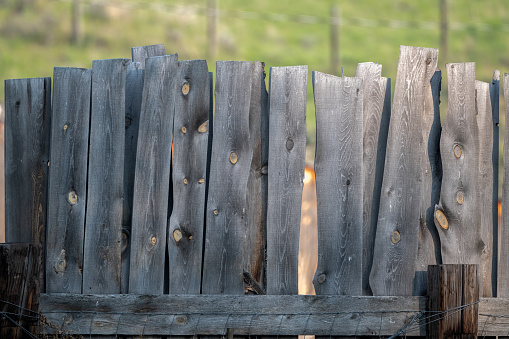 Old wooden barn fence for winter wind protection in central Montana, in western USA of North America.