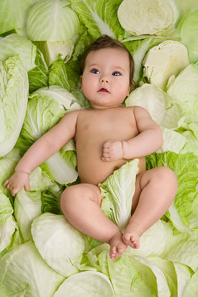 Found in the cabbage stock photo