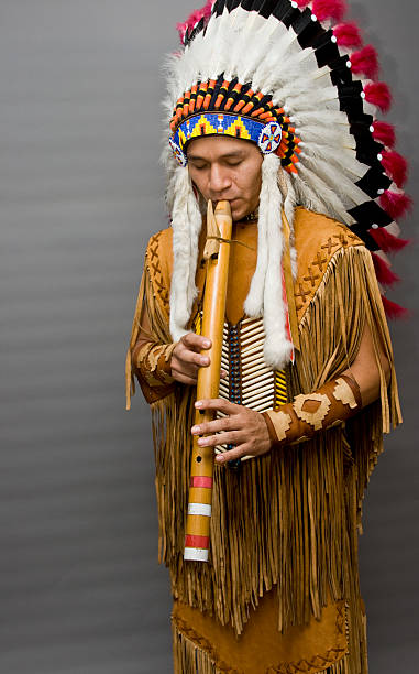 원어 칠레식 - native american north american tribal culture tribal chief headdress 뉴스 사진 이미지