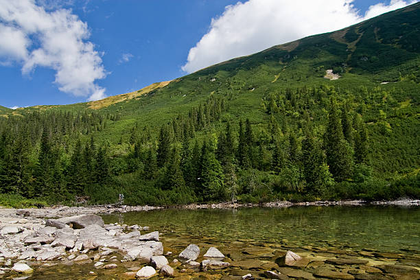 Lake in the mountain stock photo